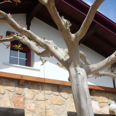 Nyaraló Casa Da Maria Carolina *