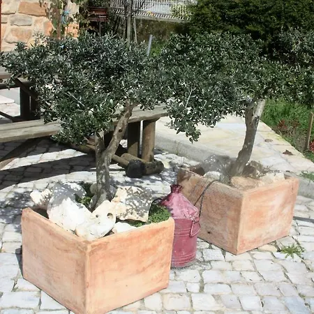 Hébergement de vacances Casa Da Maria Carolina Fanhais