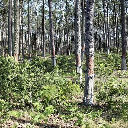 Nyaraló Casa Da Maria Carolina *