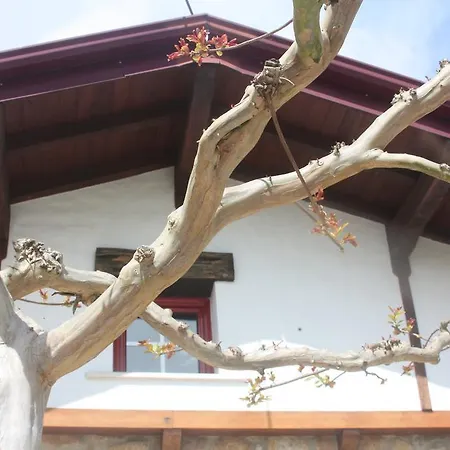 Nyaraló Casa Da Maria Carolina