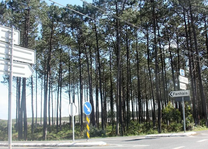 Casa Da Maria Carolina Fanhais