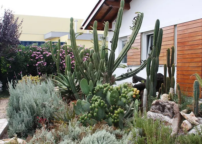 Casa Da Maria Carolina Fanhais